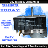 3389662 A WP3389662 AP6008304 FSP